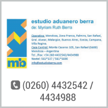 estudio aduanero berra