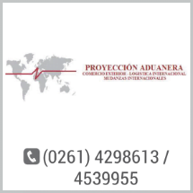 proyeccion aduanera